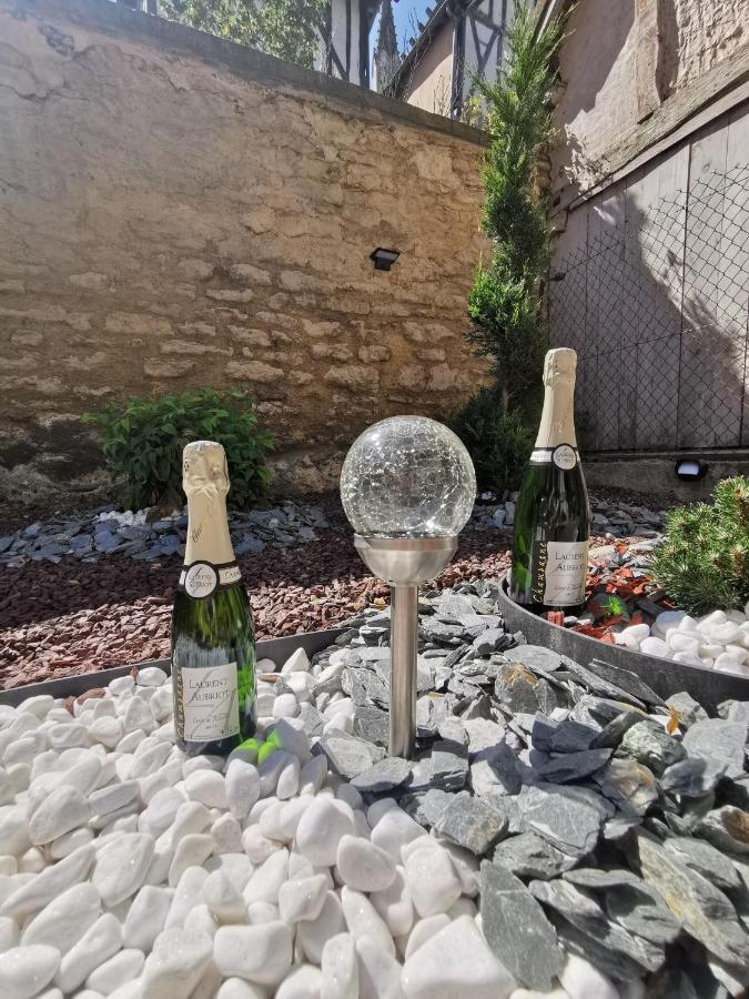Appartamento Le Papillon de la Cathédrale - Calme - Jardin - Wifi Troyes Esterno foto